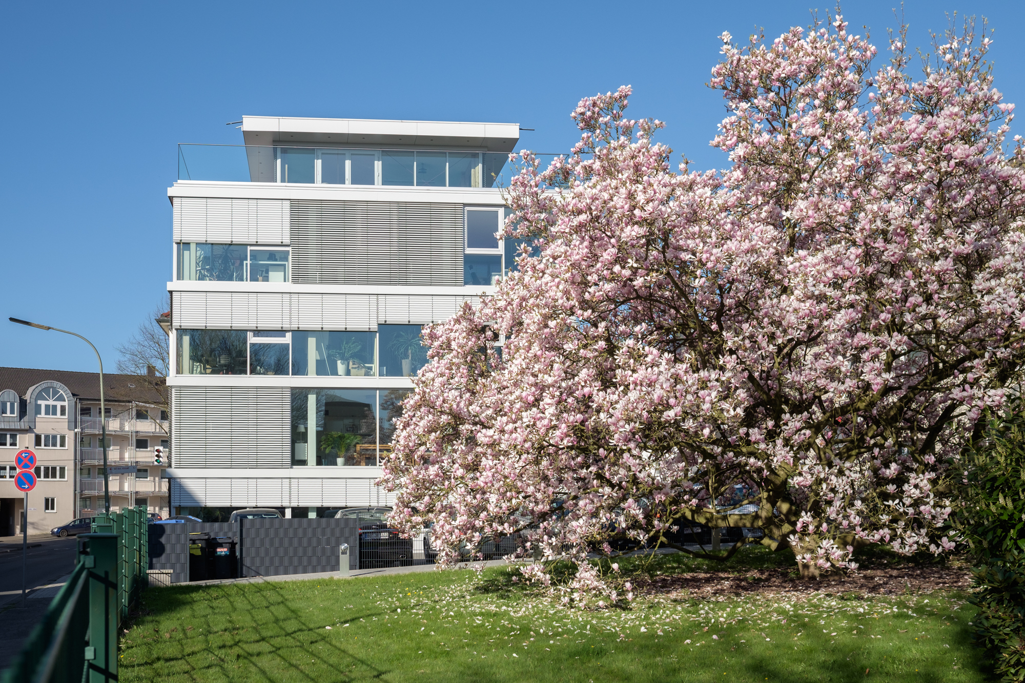 Modernes weißes Agenturgebäude mit Rasen, Kirschbaum und rotem Nebengebäude.