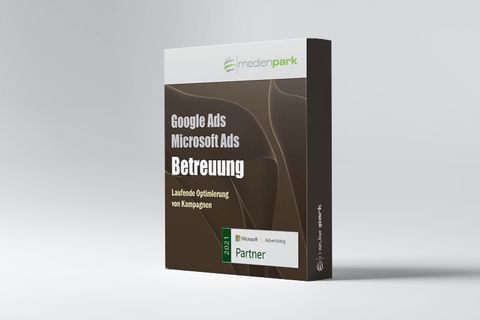 Google Ads/Microsoft Ads Betreuung